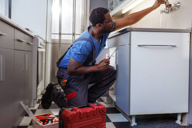 Best Sprinkler Systems  in Orida Ridge, FL